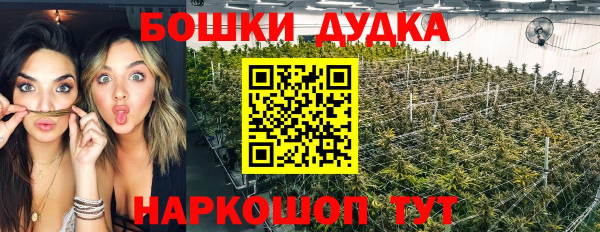 Бошки Шишки сатива  Марихуана SATIVA & INDICA  Курганинск  Бошки Шишки White Widow  Вход с VPN 