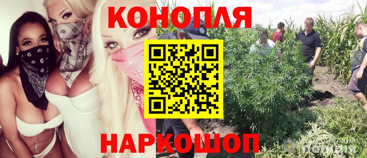 Шишки марихуана OG Kush Курганинск